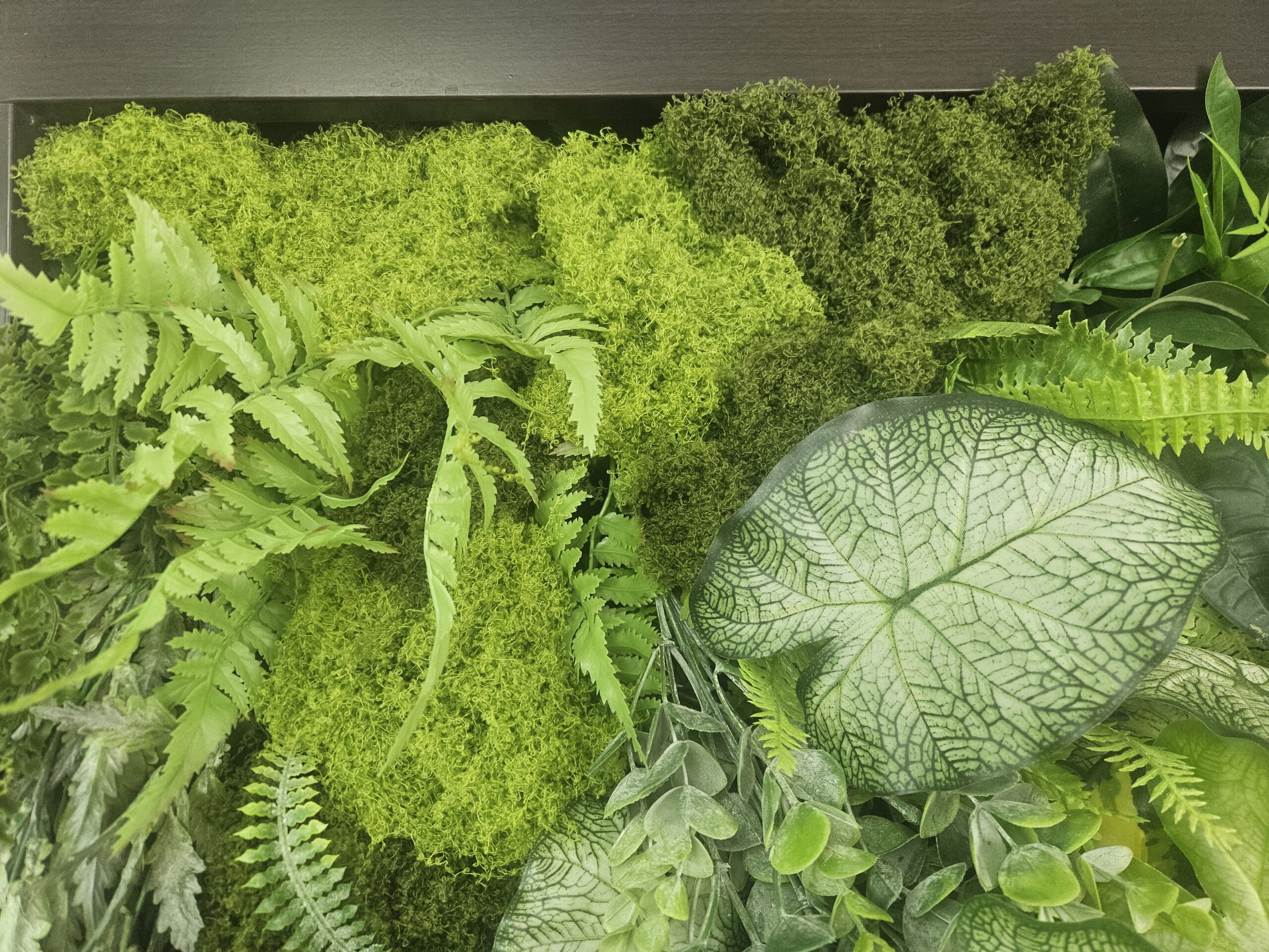 人工植物とマルチモス
